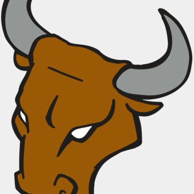 AR BULL 28 RC Thumbnail