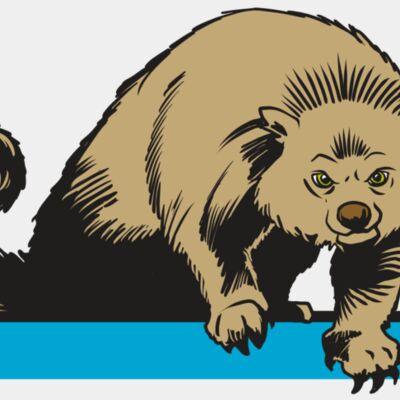 AR22 BEARCAT 02 RQC Thumbnail