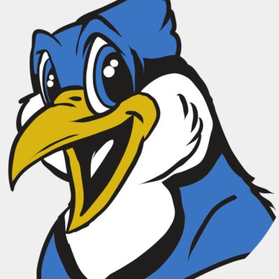 AR31 BLUEJAY 01 RQC Thumbnail