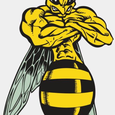 BAW BEE 16 RC Thumbnail