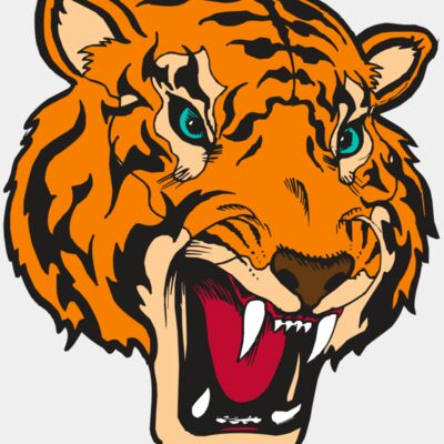 BAW TIGER 12 RC Thumbnail