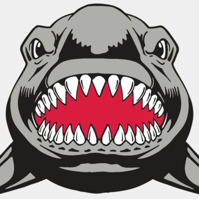 AR  SHARK 25 RC Thumbnail