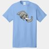 Best Selling Cotton Tee Thumbnail