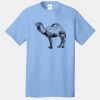 Best Selling Cotton Tee Thumbnail