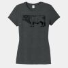 Women's Perfect® Tri Soft-Style Tee Thumbnail