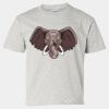 Ultra Cotton® Youth T-Shirt Thumbnail