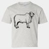 Ultra Cotton® Youth T-Shirt Thumbnail