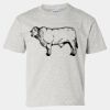 Ultra Cotton® Youth T-Shirt Thumbnail