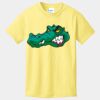 Best Selling Youth Cotton Tee Thumbnail