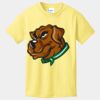 Best Selling Youth Cotton Tee Thumbnail