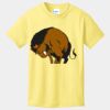 Best Selling Youth Cotton Tee Thumbnail