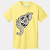 Best Selling Youth Cotton Tee Thumbnail