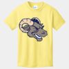 Best Selling Youth Cotton Tee Thumbnail