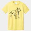 Best Selling Youth Cotton Tee Thumbnail