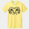 Best Selling Youth Cotton Tee Thumbnail