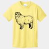 Best Selling Youth Cotton Tee Thumbnail