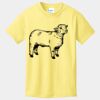 Best Selling Youth Cotton Tee Thumbnail