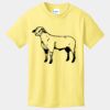 Best Selling Youth Cotton Tee Thumbnail