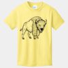 Best Selling Youth Cotton Tee Thumbnail