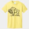 Best Selling Youth Cotton Tee Thumbnail