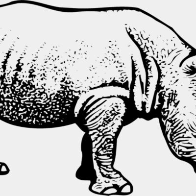 Rhino Thumbnail